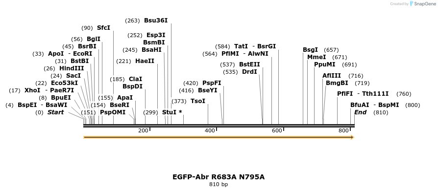 49819_map