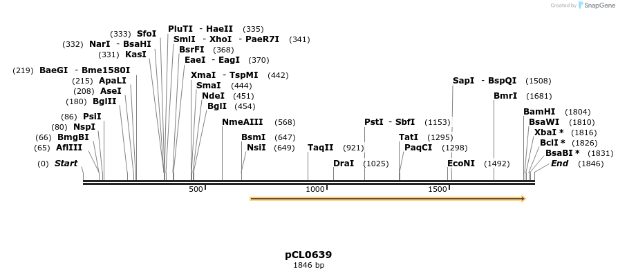 498190_map