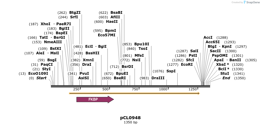 498197_map