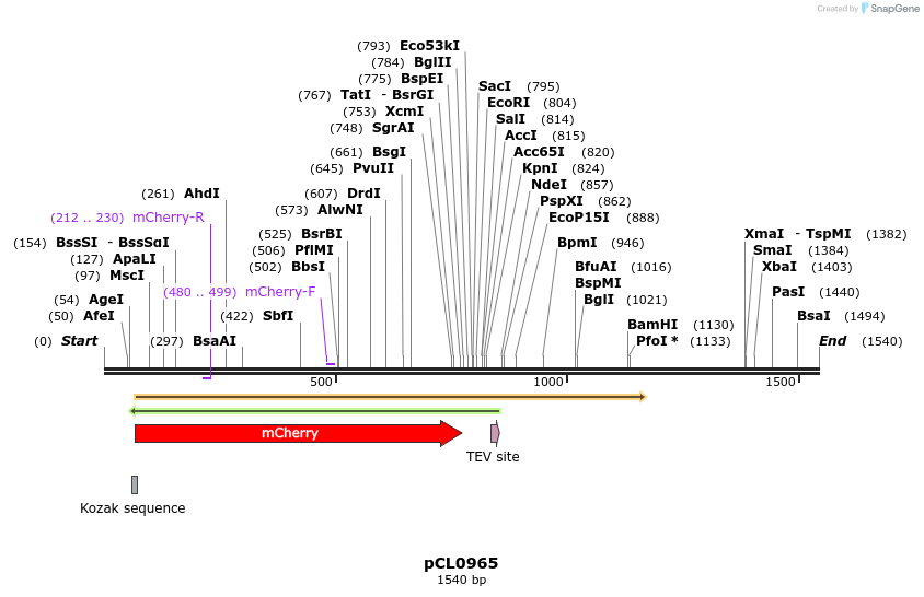 498202_map