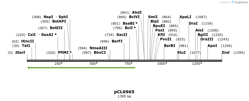 498203_map