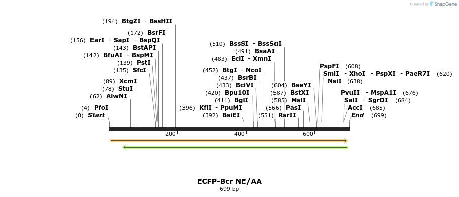 49821_map
