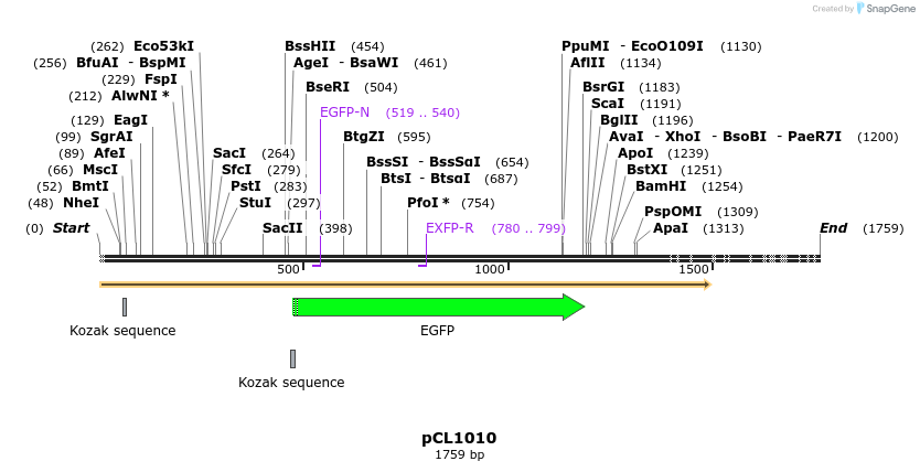 498212_map