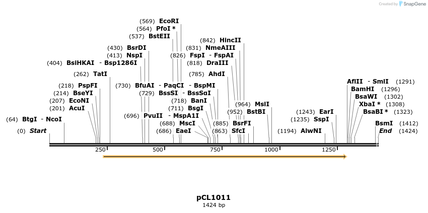 498213_map