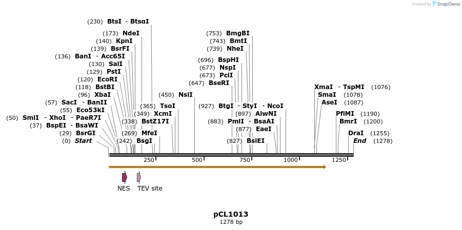 498215_map
