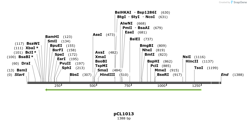 498216_map