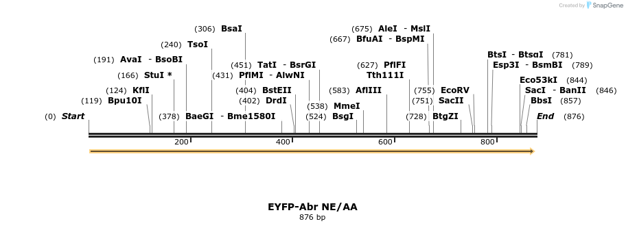 49823_map