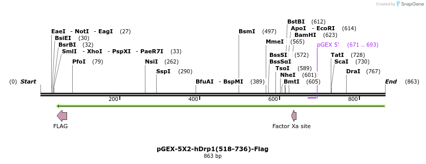 49826_map