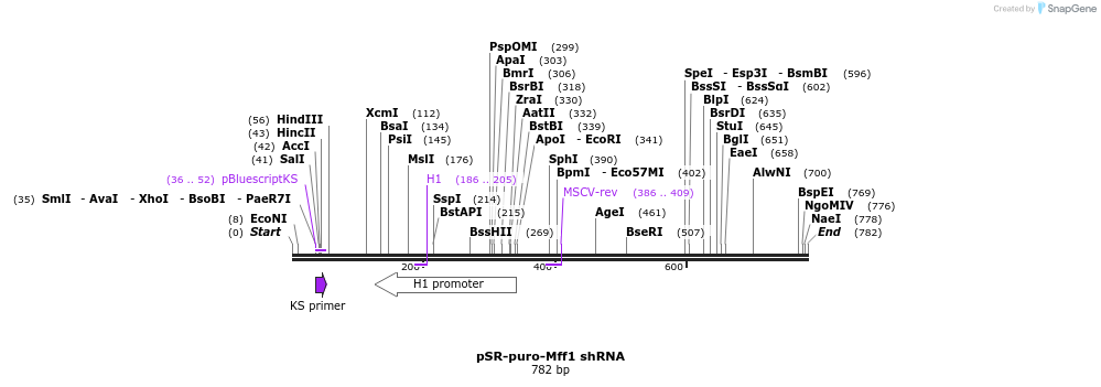 49833_map