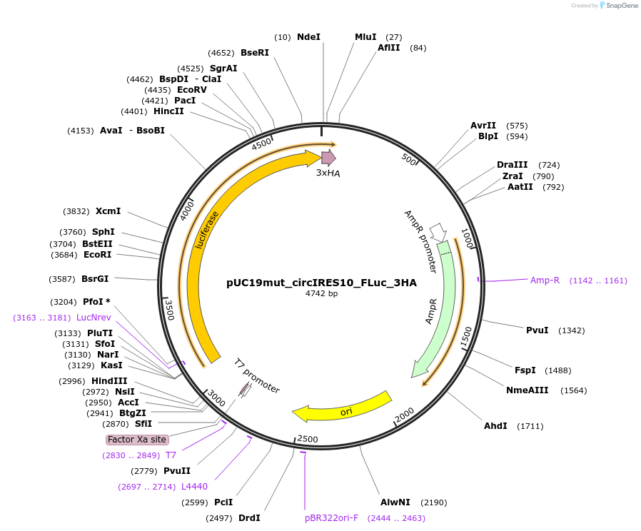 498349_map