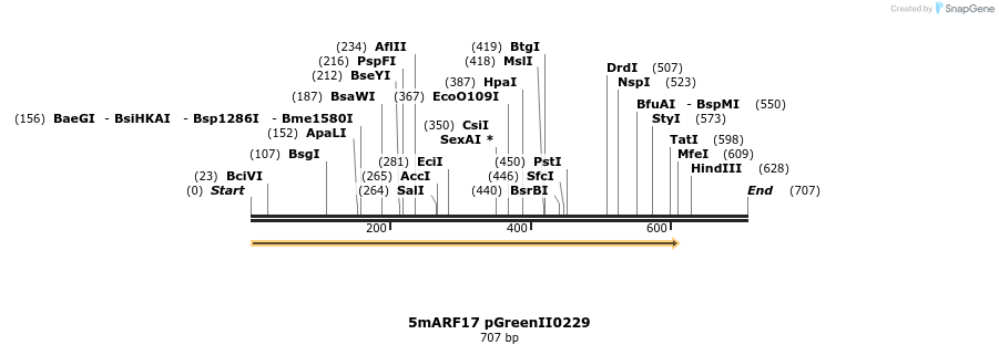 49835_map