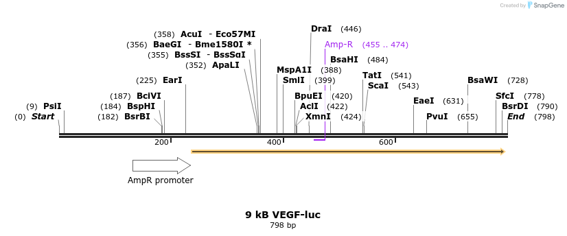 49836_map