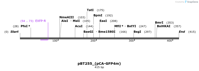 49839_map