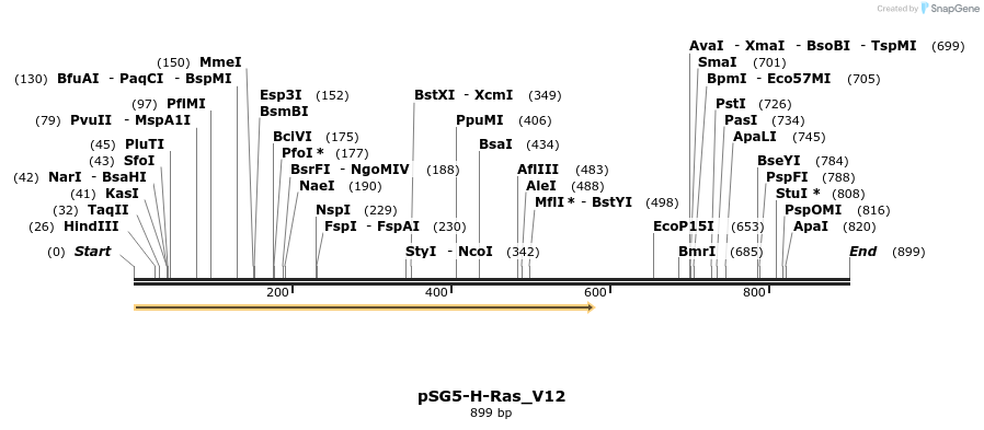 49841_map