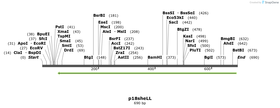 49847_map
