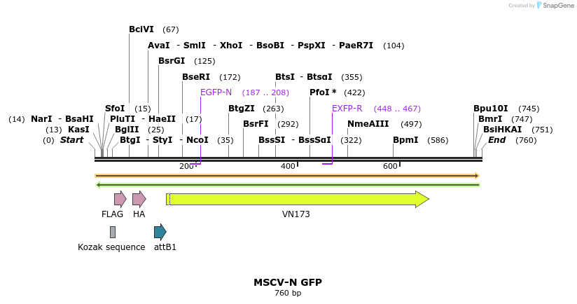 49849_map