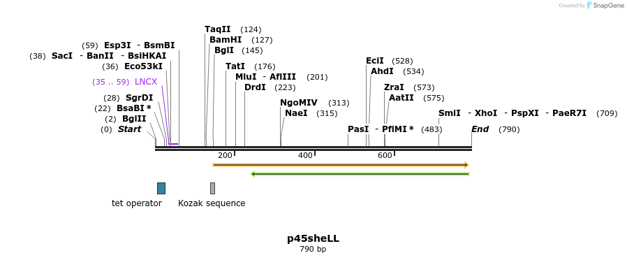 49850_map