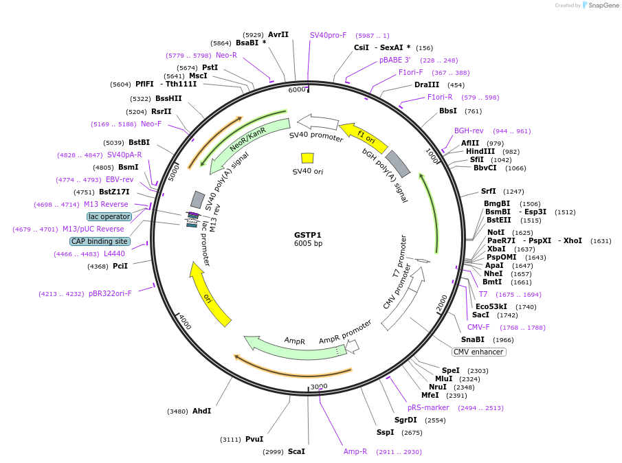 498501_map