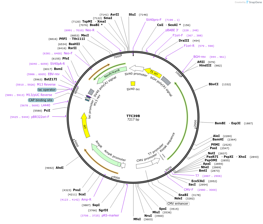 498502_map