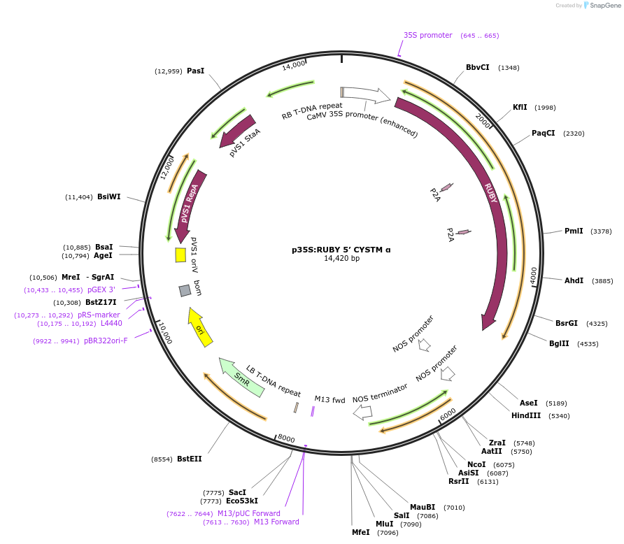 498507_map