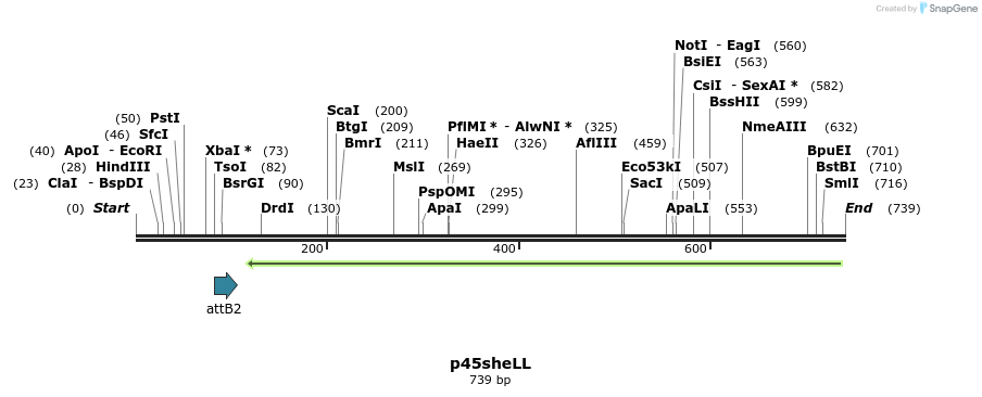 49851_map