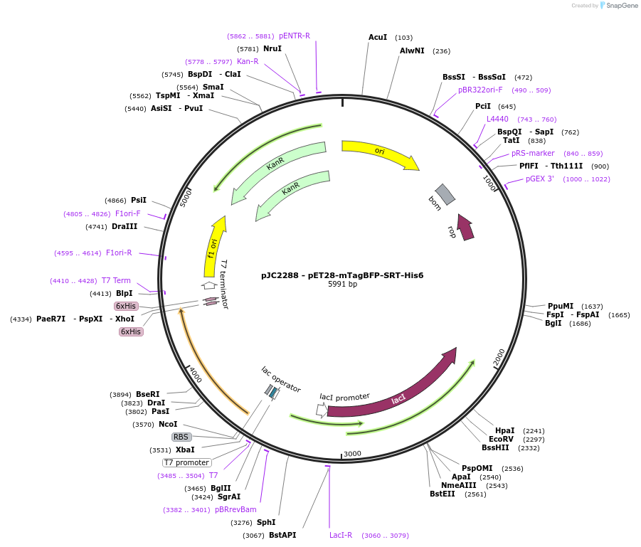 498561_map