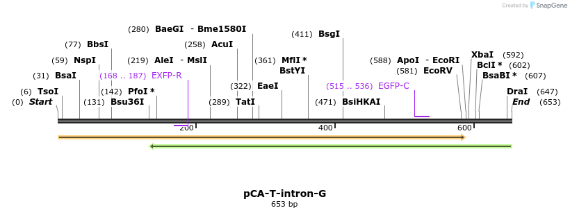 49857_map