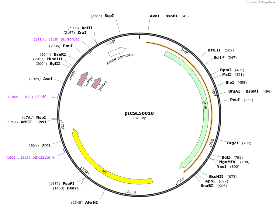 50310-plasmid-map-sequence-id-498592