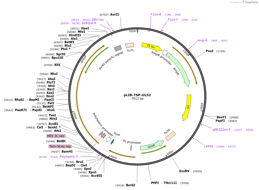 498601_map