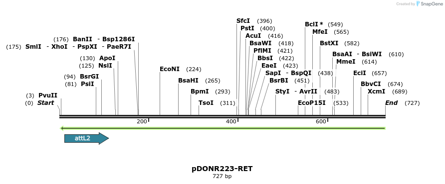 49864_map