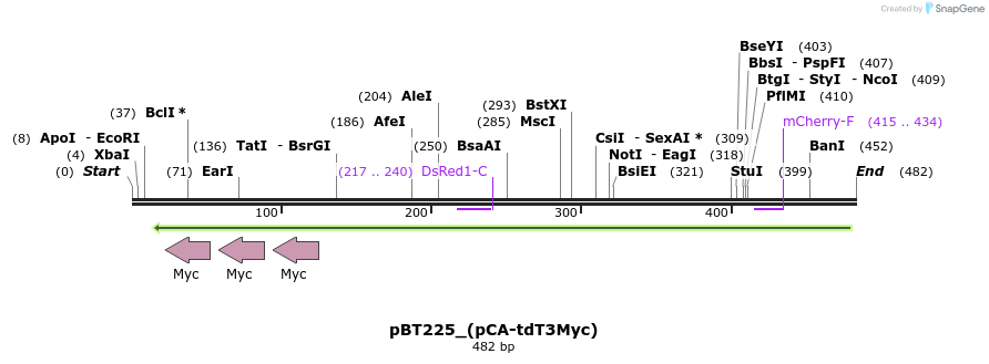 49870_map