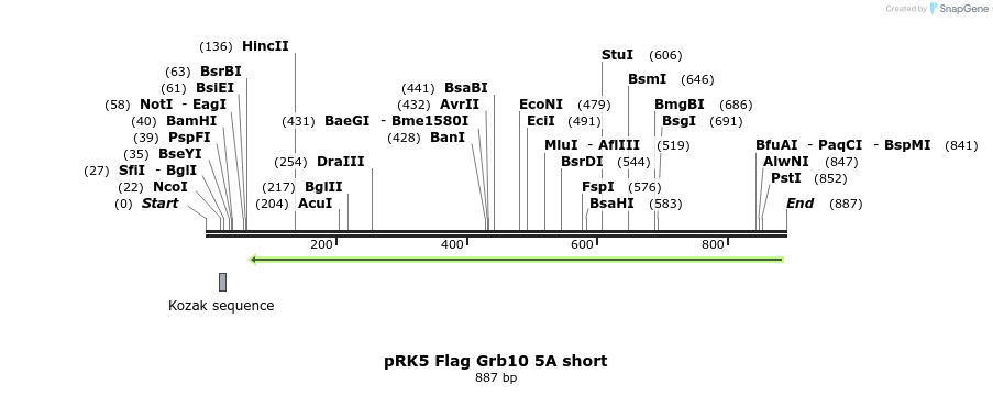 49871_map