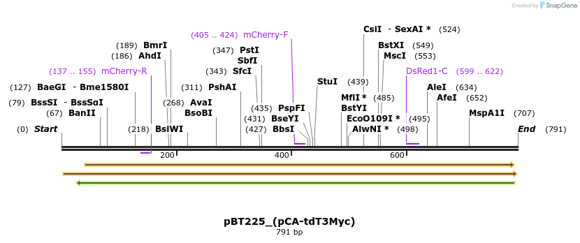 49872_map