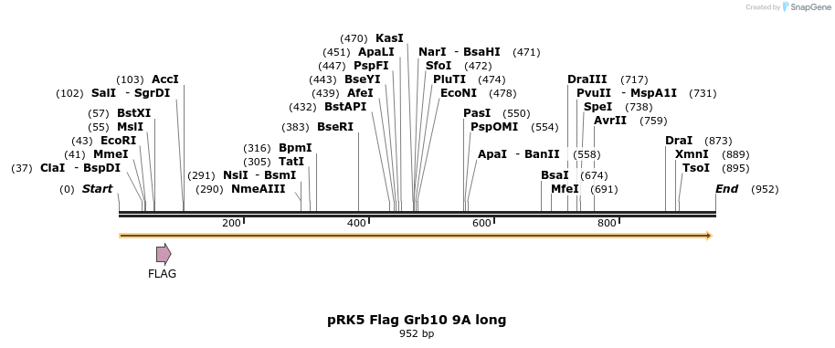 49873_map