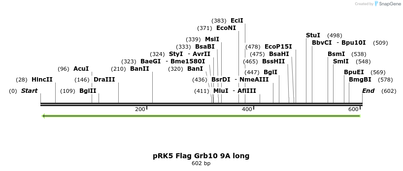 49876_map