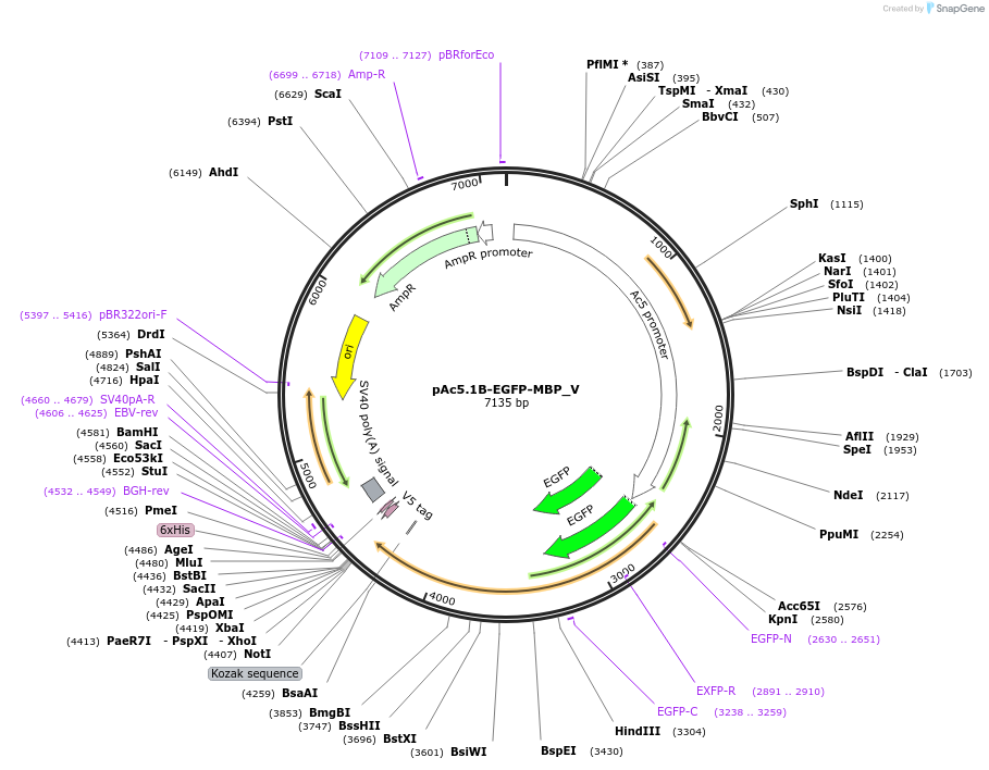 498769_map