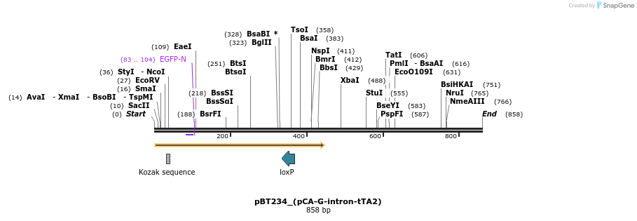 49877_map