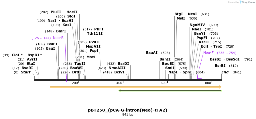 49878_map