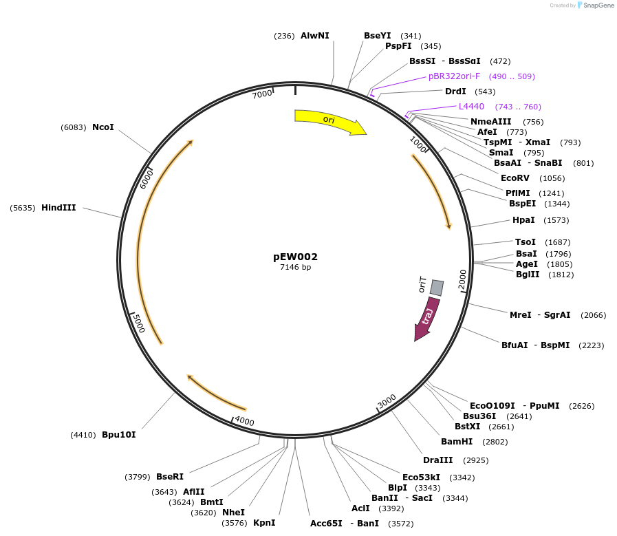 498801_map
