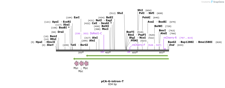 49882_map