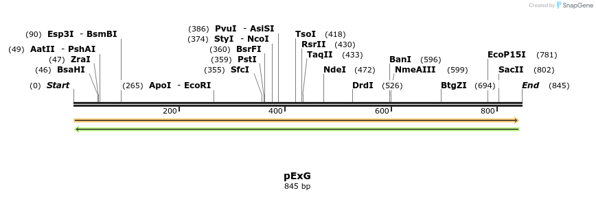 49885_map