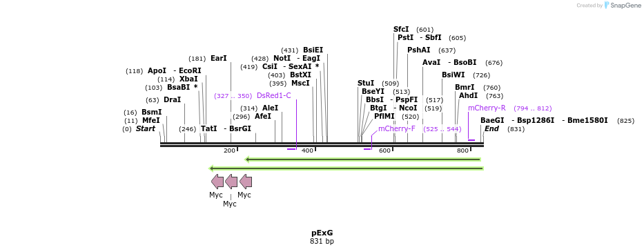 49887_map