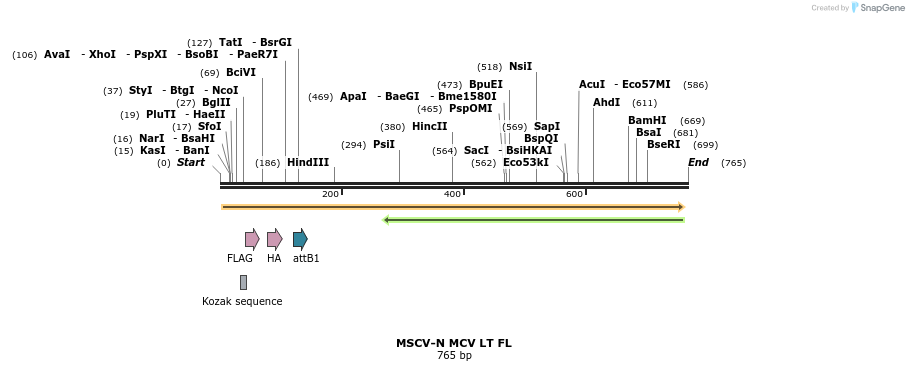 49888_map