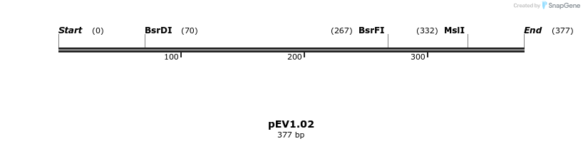 49889_map