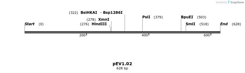 49890_map