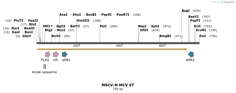 49891_map