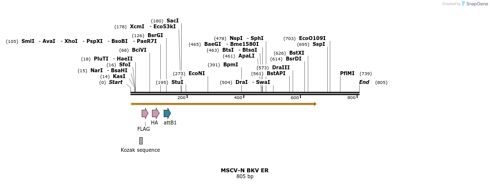 49892_map