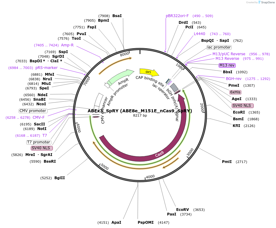 498921_map