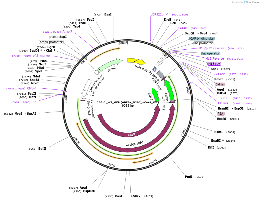 498926_map