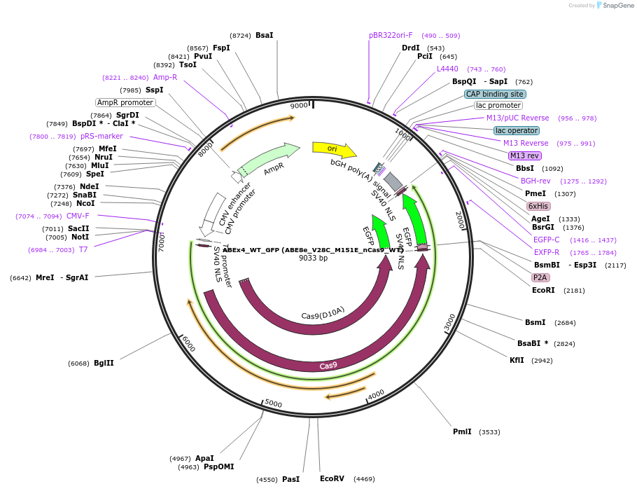 498928_map